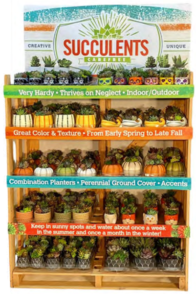 Pope's Fall Rack A - Pumpkins, Gourds, Skulls, & More! - Plant Material